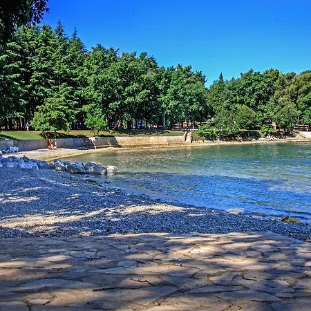 Peaceful In Nova Vas With Swimming Pool